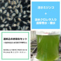 【送料込】活きミジンコ+淡水クロレラ入り濃厚青水・種水