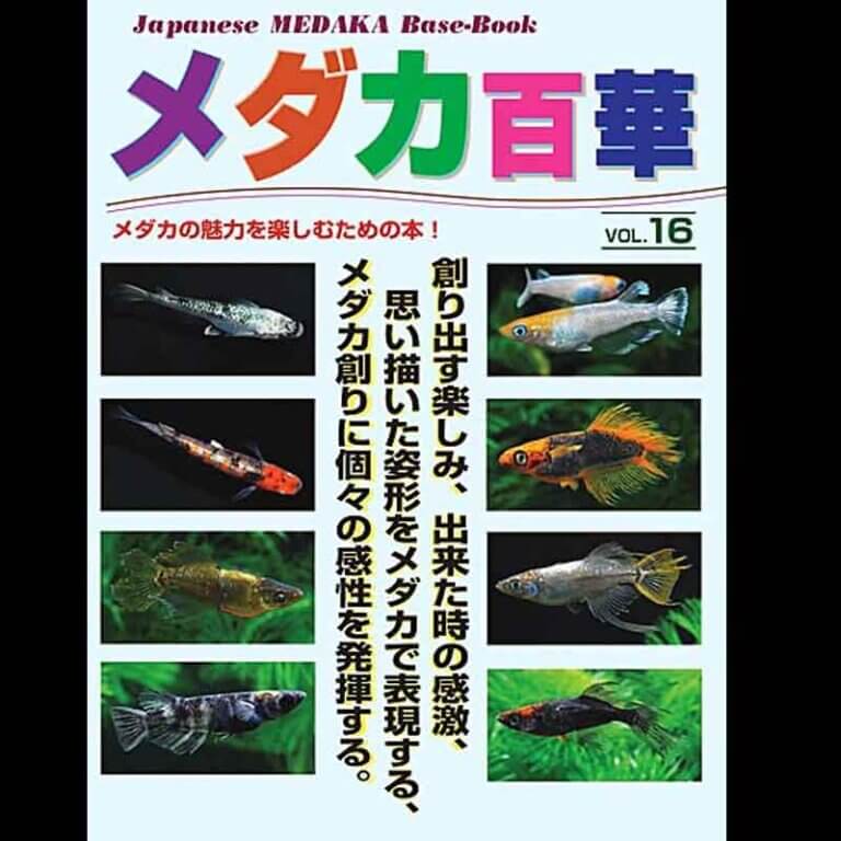 メダカ百華 VOL.16
