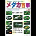 メダカ百華 VOL.20