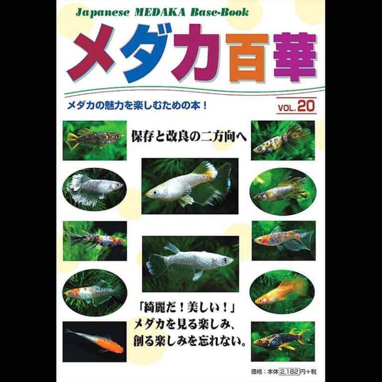 メダカ百華 VOL.20
