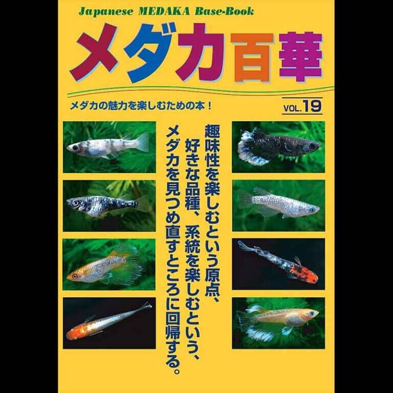 メダカ百華 VOL.19
